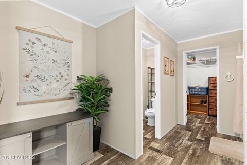 Tiny photo for 1754 Dumplin Loop Rd, New Market, TN 37820 (MLS # 1349372)