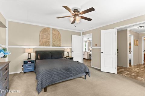 Tiny photo for 1754 Dumplin Loop Rd, New Market, TN 37820 (MLS # 1349372)