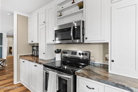 Tiny photo for 1754 Dumplin Loop Rd, New Market, TN 37820 (MLS # 1349372)