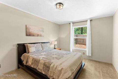 Tiny photo for 1754 Dumplin Loop Rd, New Market, TN 37820 (MLS # 1349372)