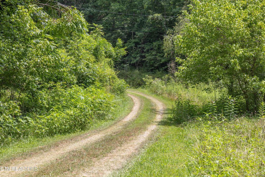 Photo of 1548 Hawk Lane, Seymour, TN 37865 (MLS # 1306921)