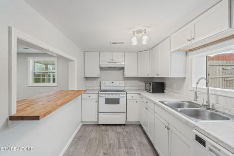 Tiny photo for 902 Summer St, Loudon, TN 37774 (MLS # 1331160)