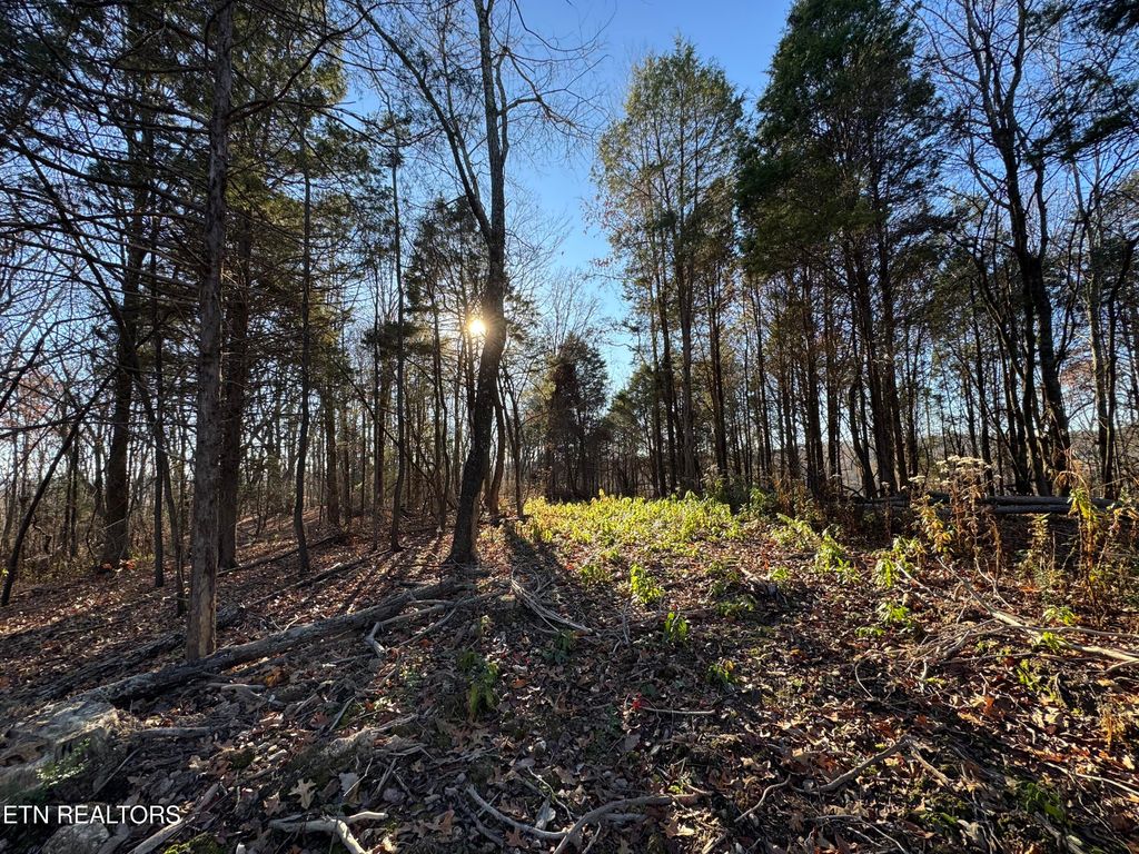 Photo of 176 Billingsley Rd, Sweetwater, TN 37874 (MLS # 1322835)