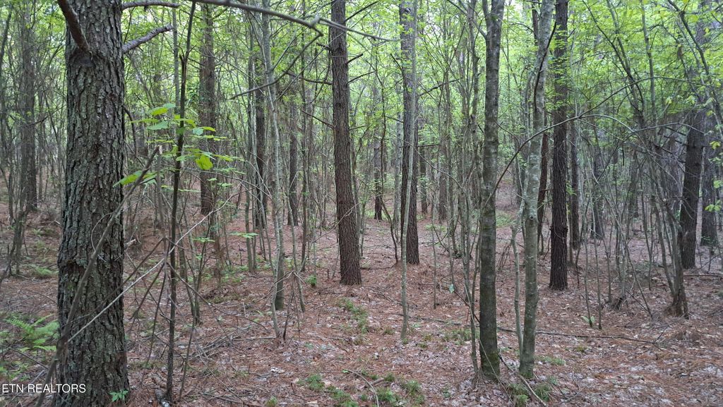 Photo of 22 Airport Rd (PCA), Rockwood, TN 37854 (MLS # 1322211)