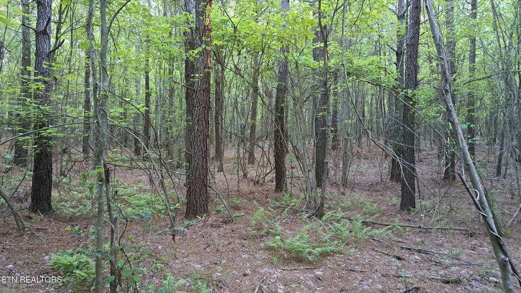 Photo of 22 Airport Rd (PCA), Rockwood, TN 37854 (MLS # 1322211)