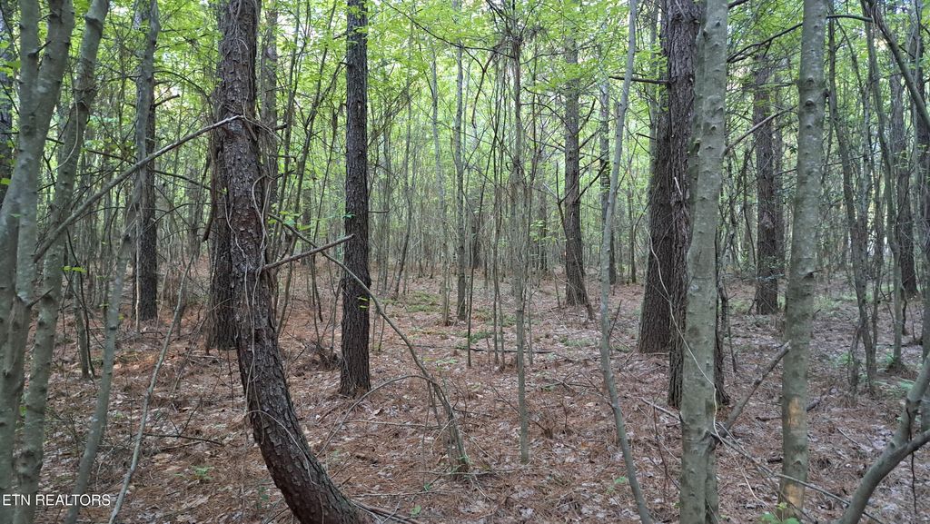 Photo of 22 Airport Rd (PCA), Rockwood, TN 37854 (MLS # 1322211)