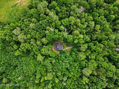 Tiny photo for 1006 Dry Valley Rd, Townsend, TN 37882 (MLS # 1346016)