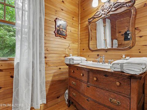 Tiny photo for 1006 Dry Valley Rd, Townsend, TN 37882 (MLS # 1346016)