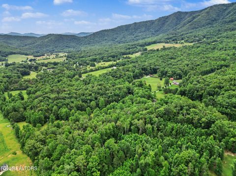 Tiny photo for 1006 Dry Valley Rd, Townsend, TN 37882 (MLS # 1346016)