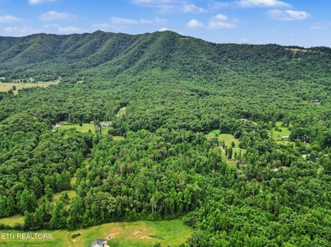 Tiny photo for 1006 Dry Valley Rd, Townsend, TN 37882 (MLS # 1346016)