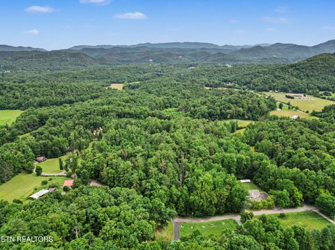 Tiny photo for 1006 Dry Valley Rd, Townsend, TN 37882 (MLS # 1346016)