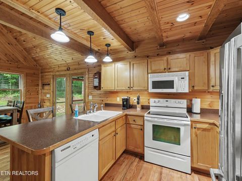 Tiny photo for 1006 Dry Valley Rd, Townsend, TN 37882 (MLS # 1346016)
