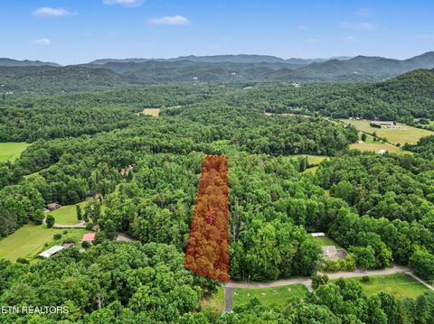 Tiny photo for 1006 Dry Valley Rd, Townsend, TN 37882 (MLS # 1346016)