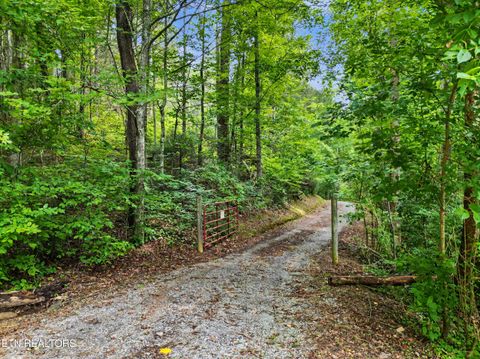 Tiny photo for 1006 Dry Valley Rd, Townsend, TN 37882 (MLS # 1346016)