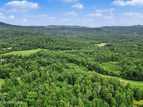 Tiny photo for 1006 Dry Valley Rd, Townsend, TN 37882 (MLS # 1346016)