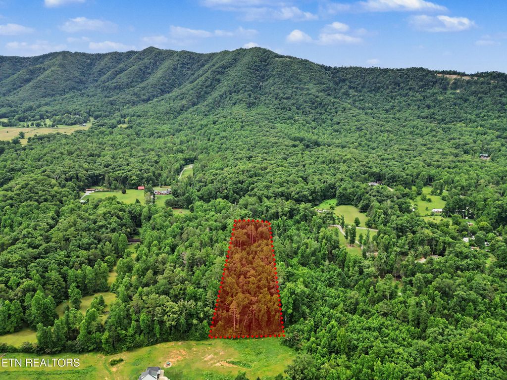 Photo of 1006 Dry Valley Rd, Townsend, TN 37882 (MLS # 1346016)