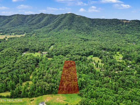 Tiny photo for 1006 Dry Valley Rd, Townsend, TN 37882 (MLS # 1346016)