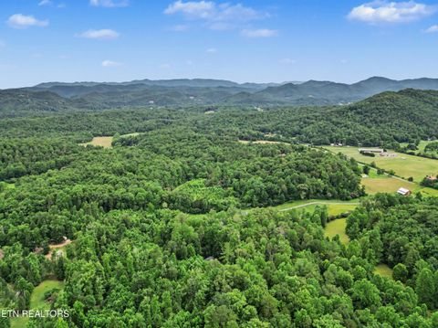 Tiny photo for 1006 Dry Valley Rd, Townsend, TN 37882 (MLS # 1346016)