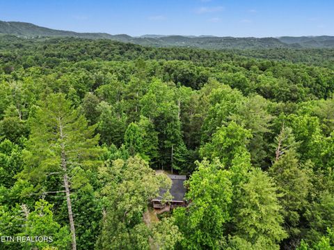 Tiny photo for 1006 Dry Valley Rd, Townsend, TN 37882 (MLS # 1346016)