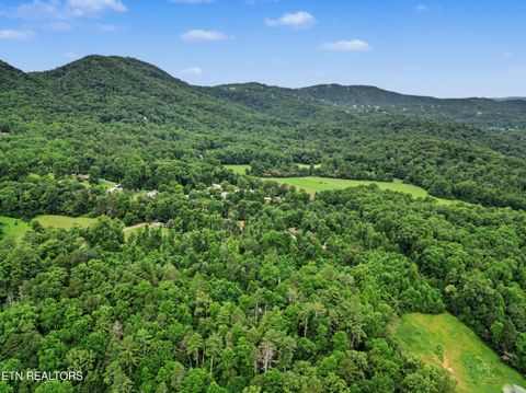 Tiny photo for 1006 Dry Valley Rd, Townsend, TN 37882 (MLS # 1346016)
