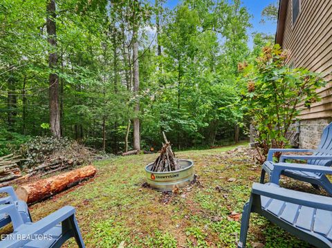 Tiny photo for 1006 Dry Valley Rd, Townsend, TN 37882 (MLS # 1346016)