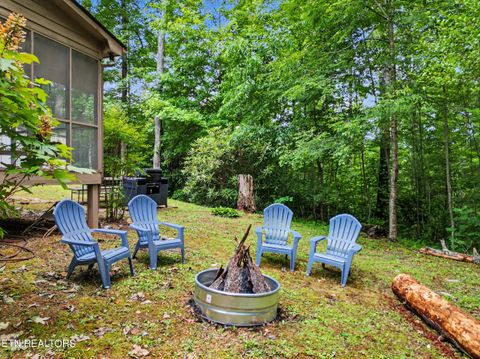 Tiny photo for 1006 Dry Valley Rd, Townsend, TN 37882 (MLS # 1346016)