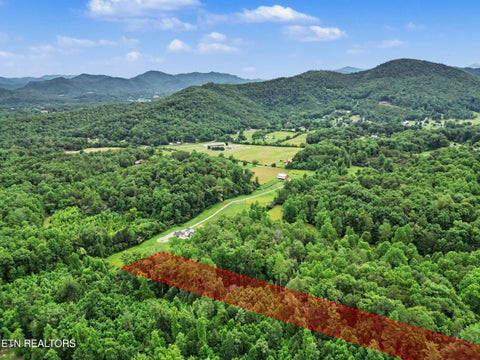 Tiny photo for 1006 Dry Valley Rd, Townsend, TN 37882 (MLS # 1346016)