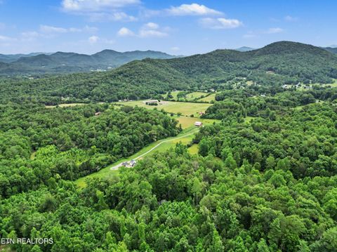Tiny photo for 1006 Dry Valley Rd, Townsend, TN 37882 (MLS # 1346016)