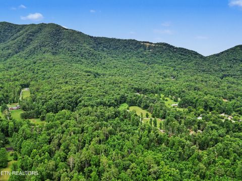 Tiny photo for 1006 Dry Valley Rd, Townsend, TN 37882 (MLS # 1346016)