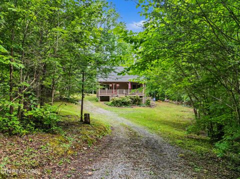 Tiny photo for 1006 Dry Valley Rd, Townsend, TN 37882 (MLS # 1346016)