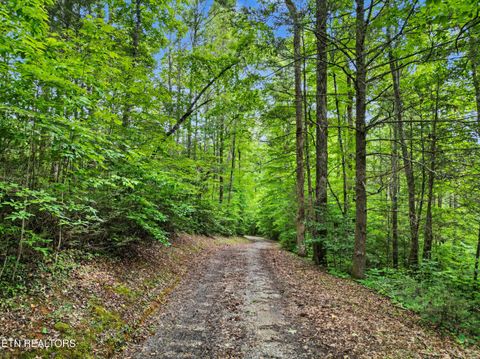 Tiny photo for 1006 Dry Valley Rd, Townsend, TN 37882 (MLS # 1346016)
