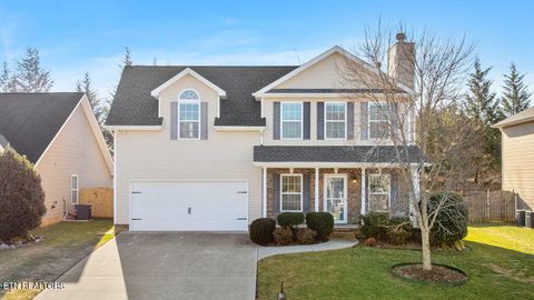 Photo of 8540 Golden Cloud Lane, Knoxville, TN 37931 (MLS # 1329045)