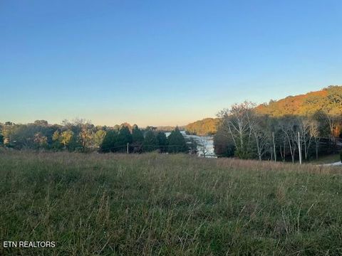 Tiny photo for 184 Waters Edge Drive, Spring City, TN 37381 (MLS # 1320451)