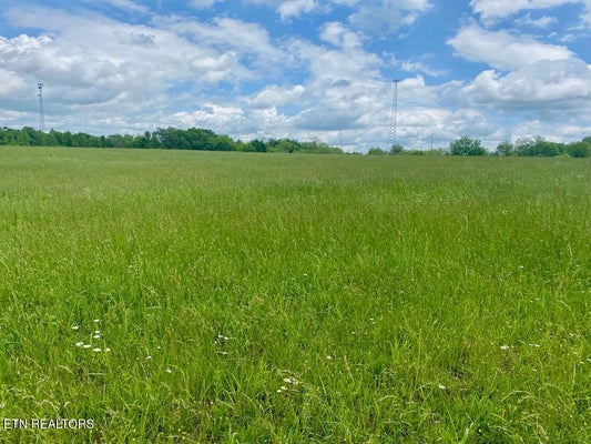 OLD MARTHA WASHINGTON RD, CLARKRANGE, TN 38553 - Image a714bc4f167bf17ba96f2e4e757cc91e/3963054690
