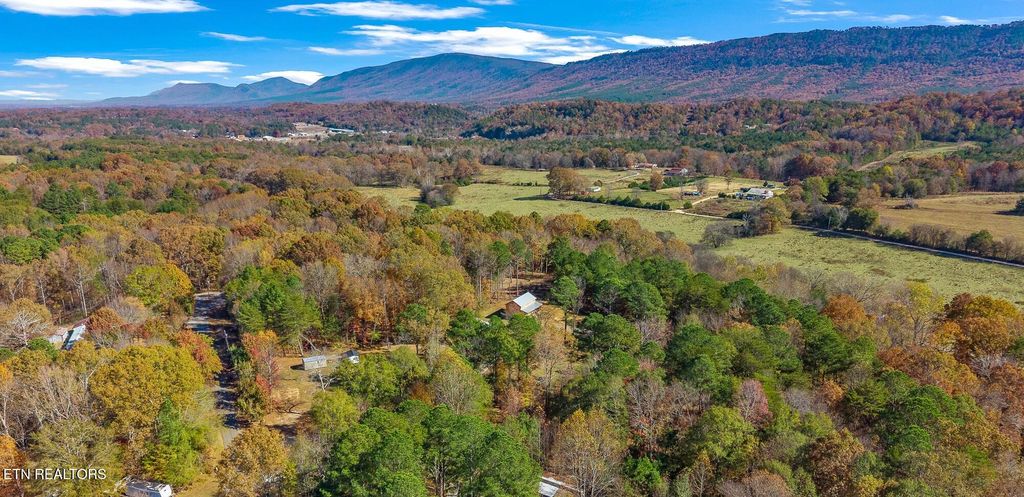 Photo of 224 Sweeney Road, Benton, TN 37307 (MLS # 1324671)