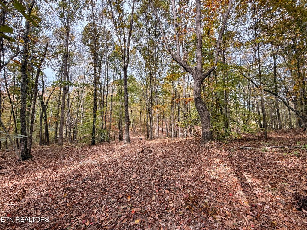 Photo of County Road 721, Riceville, TN 37370 (MLS # 1314988)