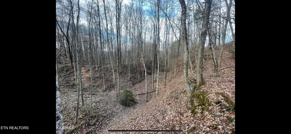 Photo of 150 Timber Oaks Lane, Pioneer, TN 37847 (MLS # 1354665)