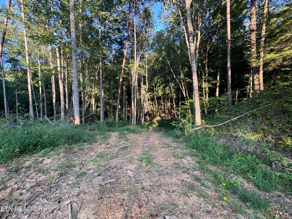 Photo of 150 Timber Oaks Lane, Pioneer, TN 37847 (MLS # 1354665)