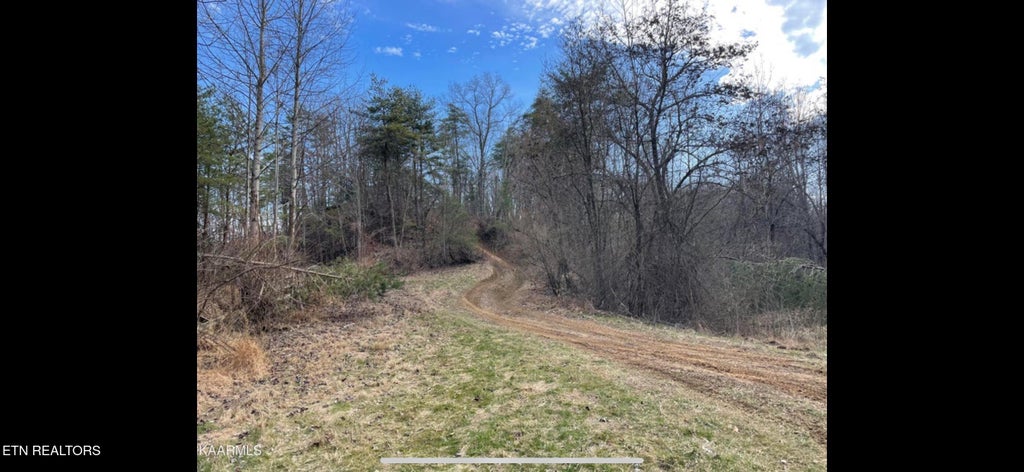 Photo of 150 Timber Oaks Lane, Pioneer, TN 37847 (MLS # 1354665)