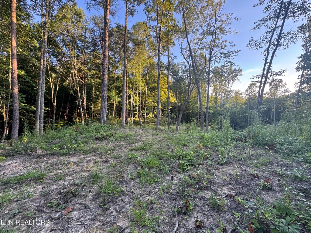 Photo of 150 Timber Oaks Lane, Pioneer, TN 37847 (MLS # 1354665)