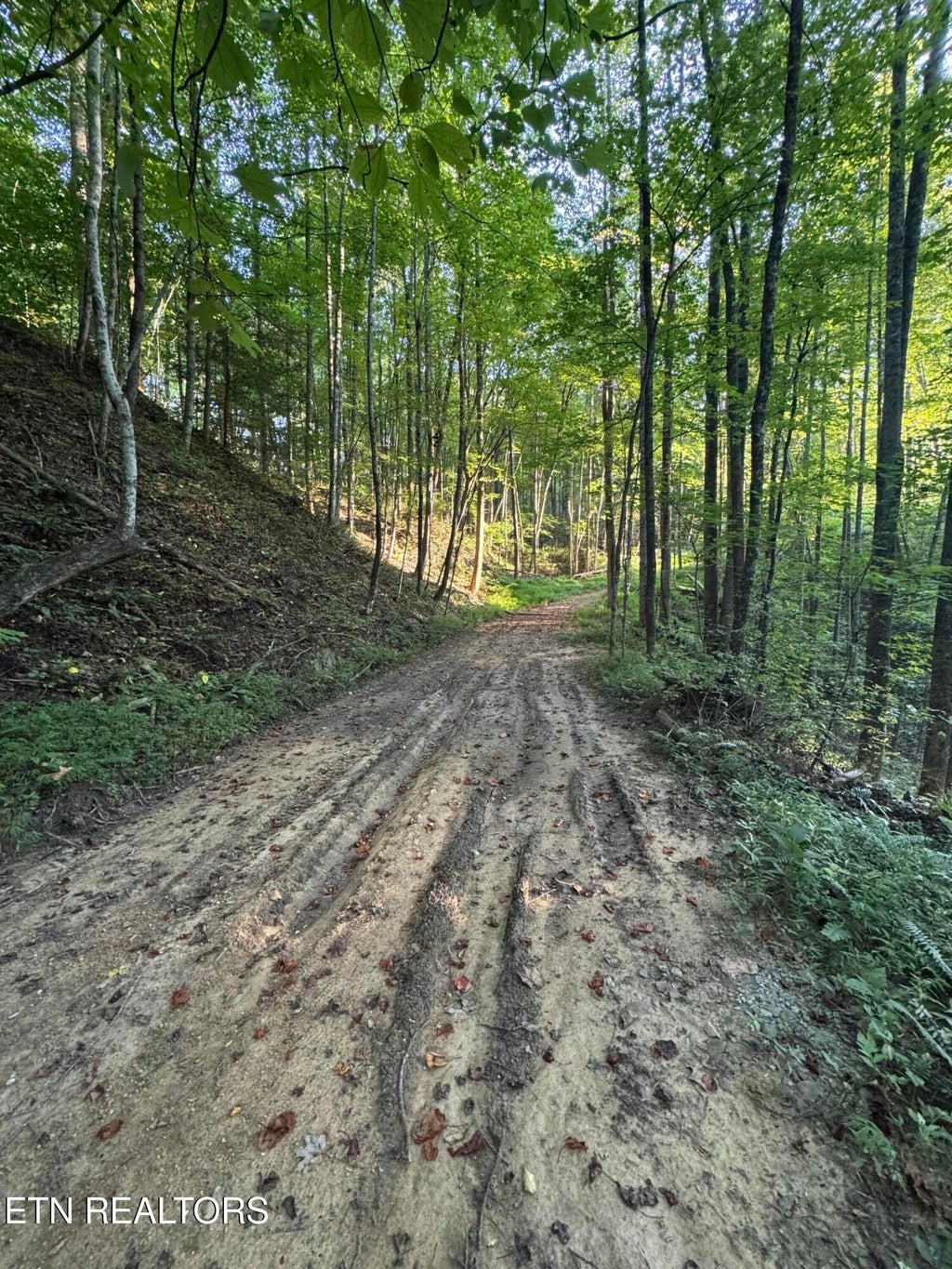 Photo of 150 Timber Oaks Lane, Pioneer, TN 37847 (MLS # 1354665)
