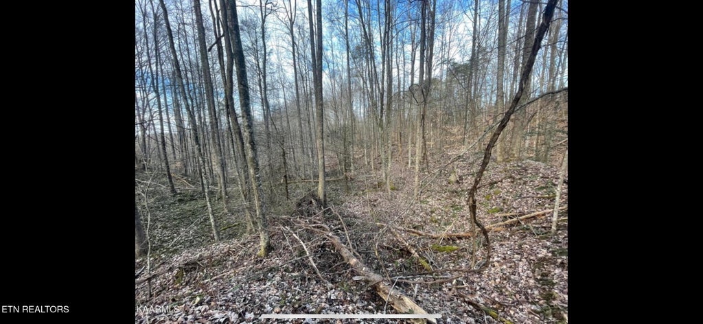 Photo of 150 Timber Oaks Lane, Pioneer, TN 37847 (MLS # 1354665)
