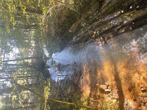 Tiny photo for 2214 Sawmill Cove Drive, Sevierville, TN 37862 (MLS # 1333843)