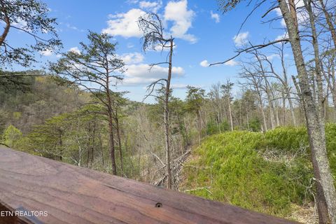 Tiny photo for 1531 Starwood Way, Sevierville, TN 37862 (MLS # 1335868)