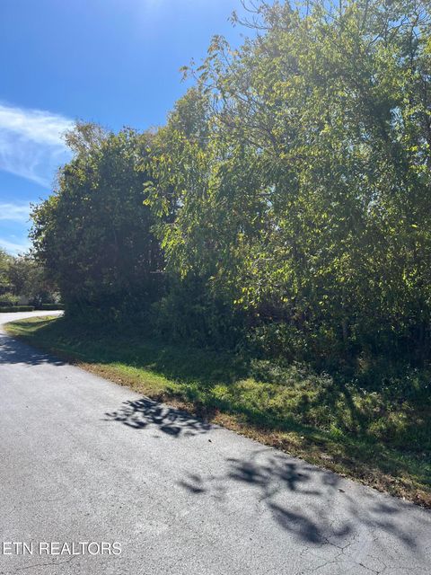 Tiny photo for Nunnehi Tr, Vonore, TN 37885 (MLS # 1317946)