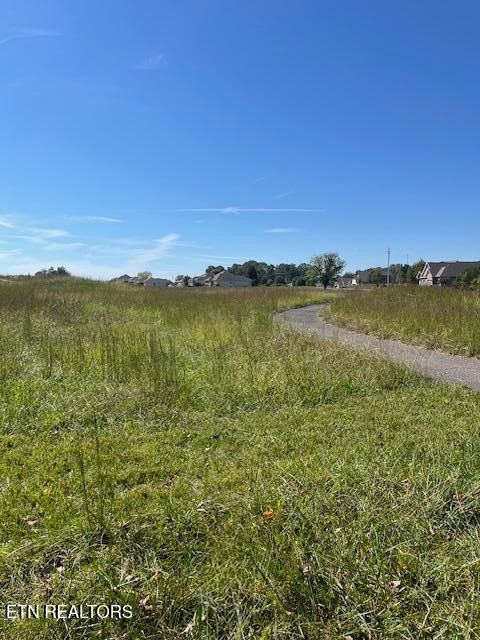 Tiny photo for Nunnehi Tr, Vonore, TN 37885 (MLS # 1317946)