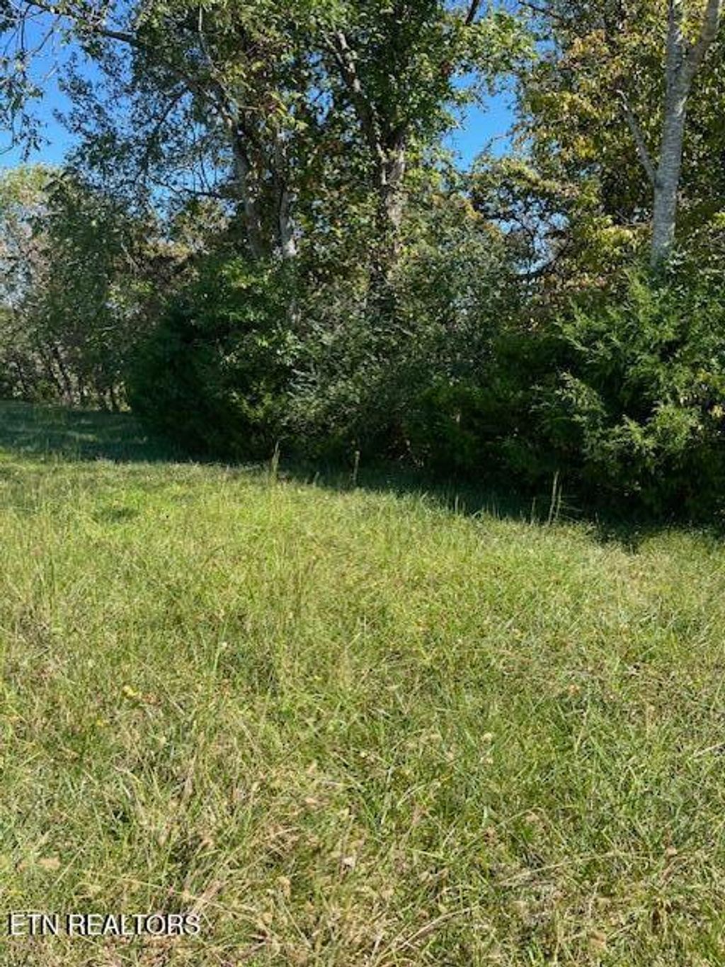 Photo of Nunnehi Tr, Vonore, TN 37885 (MLS # 1317946)