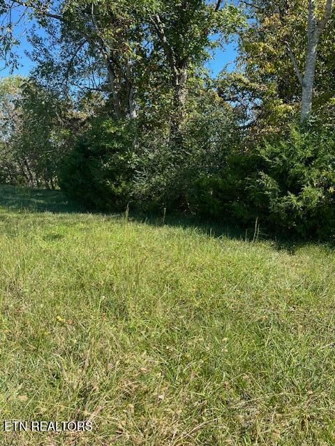 Tiny photo for Nunnehi Tr, Vonore, TN 37885 (MLS # 1317946)