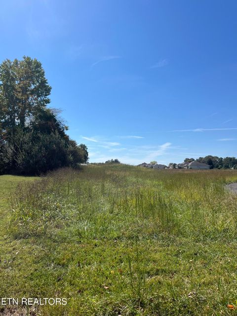 Photo of Nunnehi Tr, Vonore, TN 37885 (MLS # 1317946)