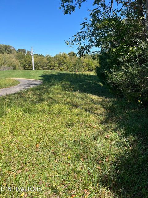 Tiny photo for Nunnehi Tr, Vonore, TN 37885 (MLS # 1317946)